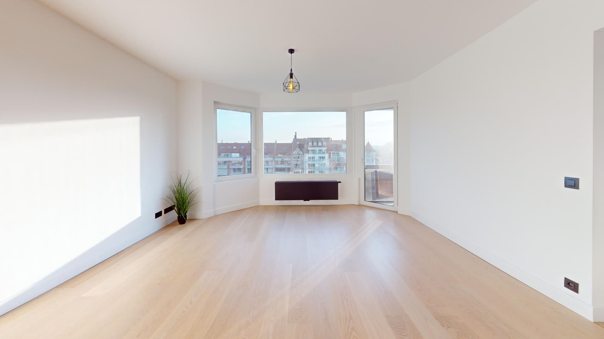 Sun-Filled Living Room